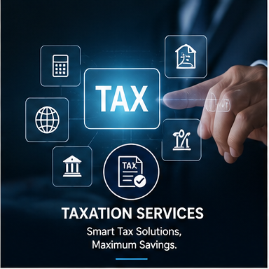Audit and assurance support